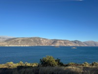 Itea gulf