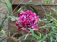 Artificial flower