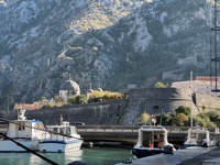 Kotor