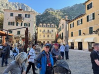Kotor