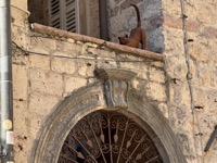 Kotor
