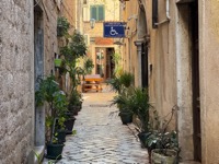 Kotor