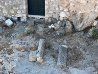 Dubrovnik cat