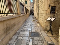 Dubrovnik cats