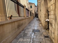 Dubrovnik cats