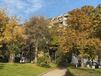 Split park