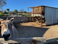 Šopot farm visit