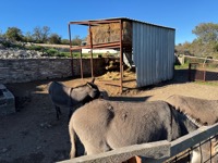 Šopot farm visit