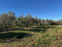 Šopot farm visit