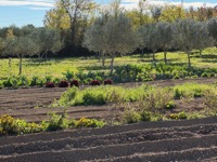 Šopot farm visit