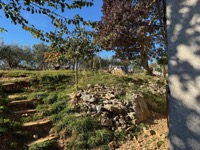 Šopot farm visit
