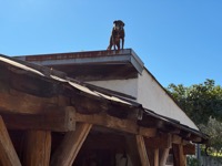 Šopot farm visit