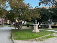 Zadar