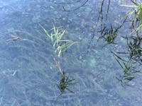 Plitvice Lakes