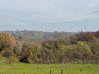 Winery view