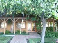 Apartment office surrounded by trees