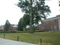 University buildings