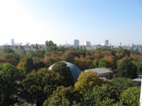 View from Wiener Riesenrad