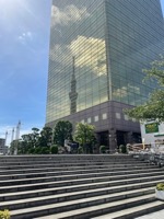 Skytower reflection