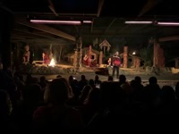 Show