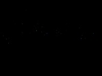 Glowworms