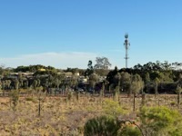 Part of resort from viewing mound